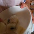 AiYuKE's cooksnap of when they made 簡単！豆腐ヨーグルトアイス.