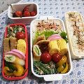 ドラエミ's cooksnap of when they made ＊春の副菜＊いんげんとツナの味噌マヨあえ.