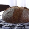 猫好きライダー's cooksnap of when they made HBで簡単パン生地♪カンパーニュ.
