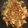 クックW1SIU6☆'s cooksnap of when they made キャベツと豚ばら肉のオイスターソース炒め.