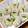 piro0829's cooksnap of when they made お弁当に「ちくわ巻き巻き＊胡瓜とチーズ」.