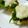 yuk0rin's cooksnap of when they made ダイエットにも♪おからハンバーグ.