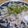 単！！'s cooksnap of when they made 簡単！たっぷりツナ玉葱☆みょうが風味.