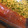 ﾌﾞﾚﾝﾀﾞ's cooksnap of when they made 使える！生野菜冷凍術！.