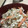 あきプー☆'s cooksnap of when they made 簡単、白和え、人参ごぼう。.