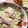 あたむ❤189's cooksnap of when they made 塩だれ豚丼.