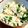 クックV5B6ET☆'s cooksnap of when they made レンジdeじゃこピーマンの混ぜご飯✿.