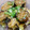ﾋﾟﾛﾐ♡'s cooksnap of when they made ナス煮びたしを冷やして どうぞ.