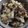 すがまっち's cooksnap of when they made 鮭とあさりとシメジとハムの炊き込みご飯.