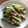 クックEO9SFV☆'s cooksnap of when they made 胡瓜と長芋のおかか和え.