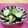 赤い電話's cooksnap of when they made ぴり辛きゅうり.