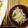 クックZ23TTD☆'s cooksnap of when they made 電子レンジのみ！ほうれん草ともやしポン酢.