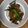 クックIM2LX3☆'s cooksnap of when they made 夏バテ知らずニンニクの芽と豚キムチ炒め.