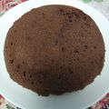 Kanalina's cooksnap of when they made シフォン風＊おから蒸しパン＊ココア.