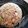 あたまぽん's cooksnap of when they made ちくわとキャベツの簡単チャーハン.