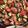クックT2W1SB☆'s cooksnap of when they made ちょっぴり贅沢♪おもてなしサラダ.