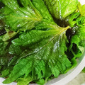 モジャ時々ツルツル's cooksnap of when they made 大葉のしょうゆ漬け.