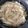 クックノンパパ's cooksnap of when they made 豚バラ肉ともやしのレンジ蒸ししゃぶ.