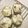 sakutakuhitoshu's cooksnap of when they made おやつに。ココナッツミルク蒸しパン.