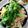 ユーロン's cooksnap of when they made 麺つゆだけであっさり鶏そぼろの三色丼♪.