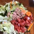 ゆきにな's cooksnap of when they made レタス 玉葱 わかめ シーチキンのサラダ.