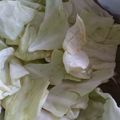 うお月's cooksnap of when they made 超かんたん！キャベツだけでおつまみサラダ.