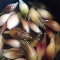 ｋｒｋｒ２８２９'s cooksnap of when they made みょうがの甘酢漬け.