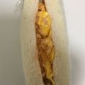 クックK6HO0F☆'s cooksnap of when they made オイ☆マヨ☆ケチャな卵サンド.
