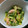ジャムハム's cooksnap of when they made きゅうりとツナの中華風サラダ.