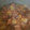 ★みさきんぐ★'s cooksnap of when they made 鶏肉と大根の煮物.