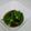 毎日しょっぱい亭's cooksnap of when they made 止まらない！オクラのダシ醤油漬け♪.