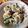 kuri_chi's cooksnap of when they made ゴーヤのツナサラダ.