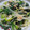 ぱど☆ちょ's cooksnap of when they made ほうれん草ともやしの ✿ツナ胡麻和え✿.