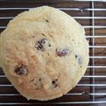 MH1111's cooksnap of when they made 簡単！おからのくるみレーズンケーキ.