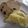 ハナえもん♪'s cooksnap of when they made ふわもちバナナ蒸しパン.