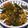 68歳パパ爺's cooksnap of when they made 元気をチャージ！夏野菜カレー！.