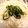 クックH64YNP☆'s cooksnap of when they made やってみて！明太子うどん♬冷たいver..