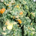 Uまま☆'s cooksnap of when they made 【離乳食】ほうれん草と卵黄のとろとろ.