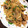 ルナリノ's cooksnap of when they made たまねぎたっぷり豚こましょうが焼き.