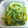 のえもゆ's cooksnap of when they made ☆ゴーヤとパプリカの和え物 2種☆.