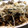クック8J0LFQ☆'s cooksnap of when they made もやしときのこバター醤油炒めた.