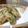 ダイナマイト漆黒's cooksnap of when they made 鯵の大葉揚げ.