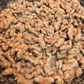 しろちょこ310's cooksnap of when they made 簡単☆セブンイレブン風 きなこくるみ♪.