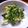 たくやときみこ's cooksnap of when they made ほうれん草のトビッコ和え.