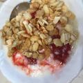 V666's cooksnap of when they made フルグラ　in　ヨーグルト.