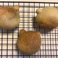 ちえこ123's cooksnap of when they made フランスパン生地で♡あんバター塩パン.