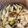 クックR5CMFN☆'s cooksnap of when they made らっきょうの甘酢漬け.