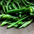 クックNXNTUG☆'s cooksnap of when they made ししとうの甘辛炒め.