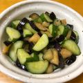 クックXU9FMT☆'s cooksnap of when they made 簡単おつまみ☆なすと胡瓜の浅漬けナムル.