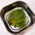 ゆにこーん☆'s cooksnap of when they made 大葉しょう油漬け！.